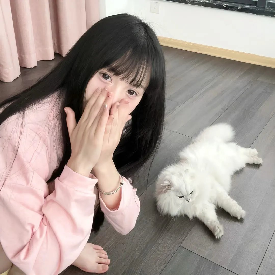 哈克费恩历险记